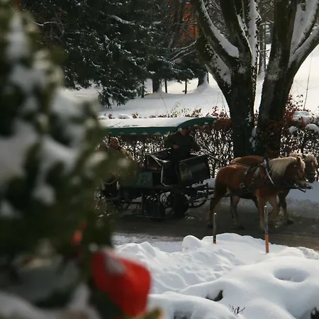 招待所 沃夫冈膳食公寓酒店 3*