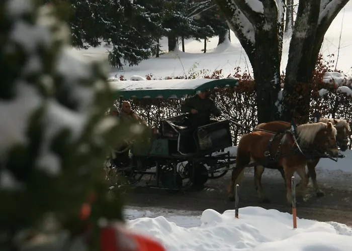 招待所 沃夫冈膳食公寓酒店 3*